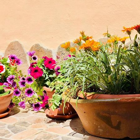 Domo All'Antico Borgo Ористано Экстерьер фото